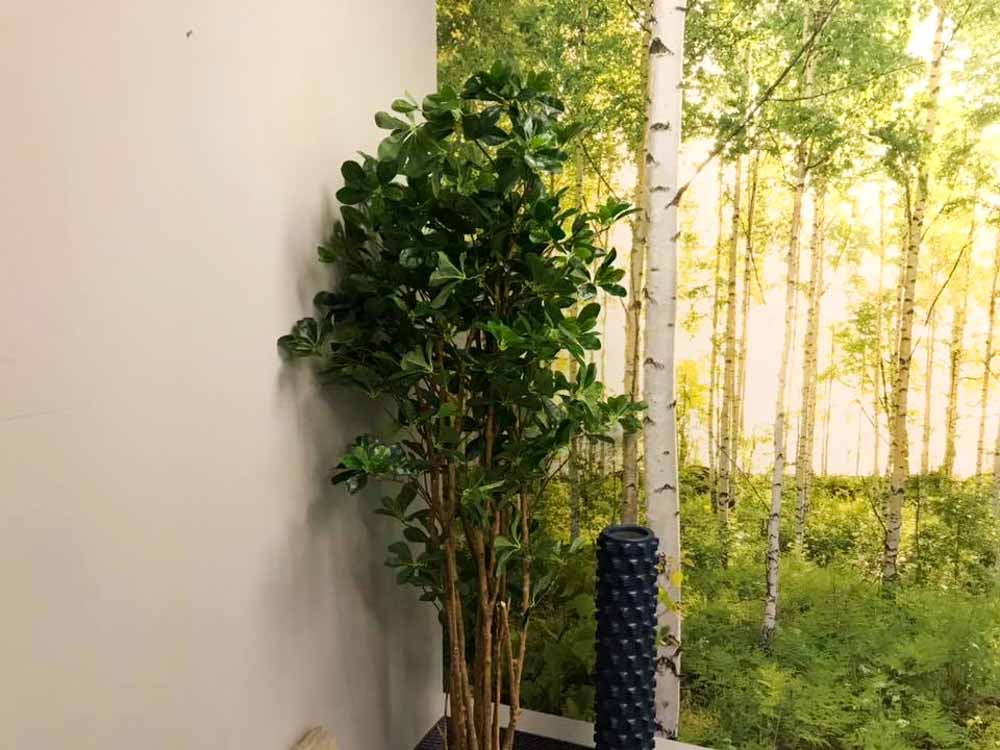 Instantel office wellness room