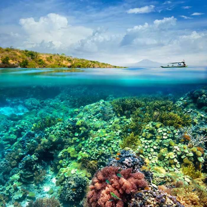 Boat and ocean coast above coral reef